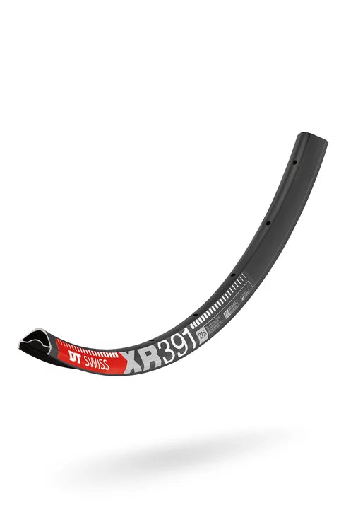 DT Swiss XR 391 Rim '29