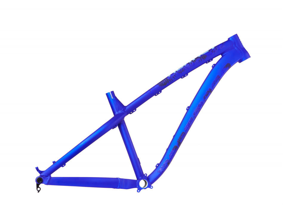 Dartmoor Hornet Frame