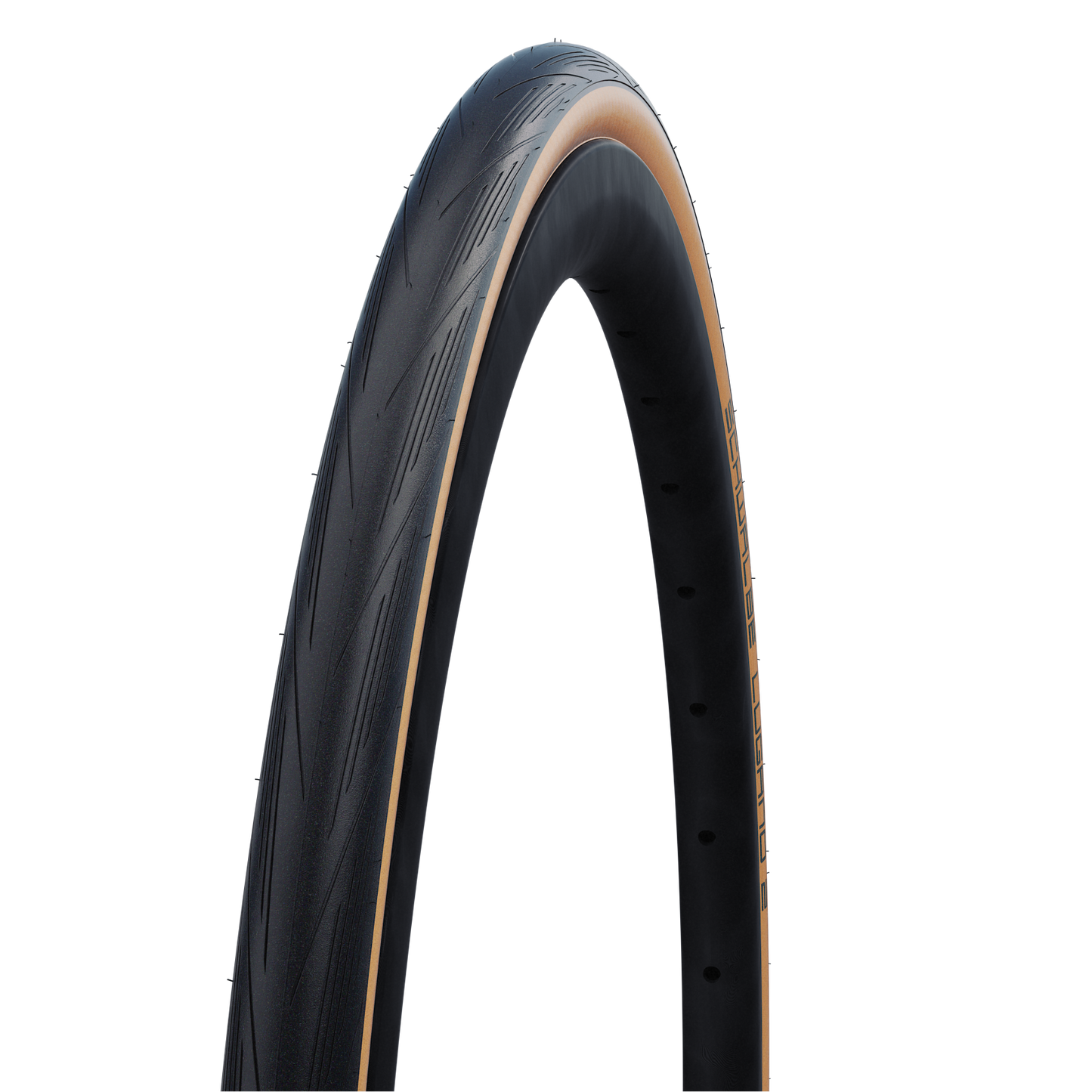 Schwalbe Lugano II