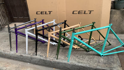 Celt Fixie Bike Frame and Wholebike