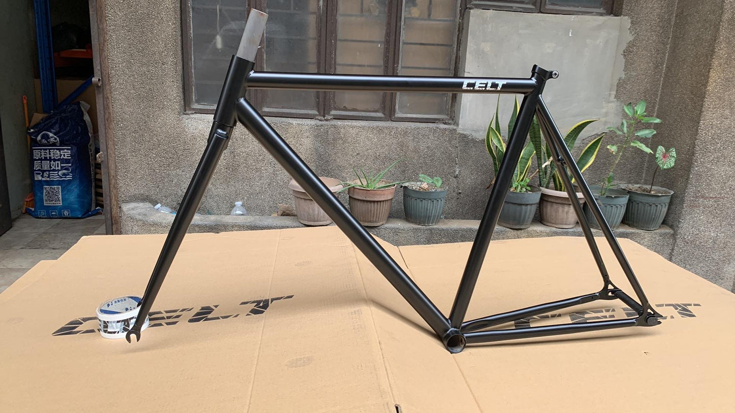 Celt Fixie Bike Frame and Wholebike