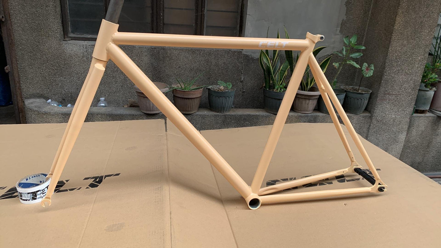 Celt Fixie Bike Frame and Wholebike