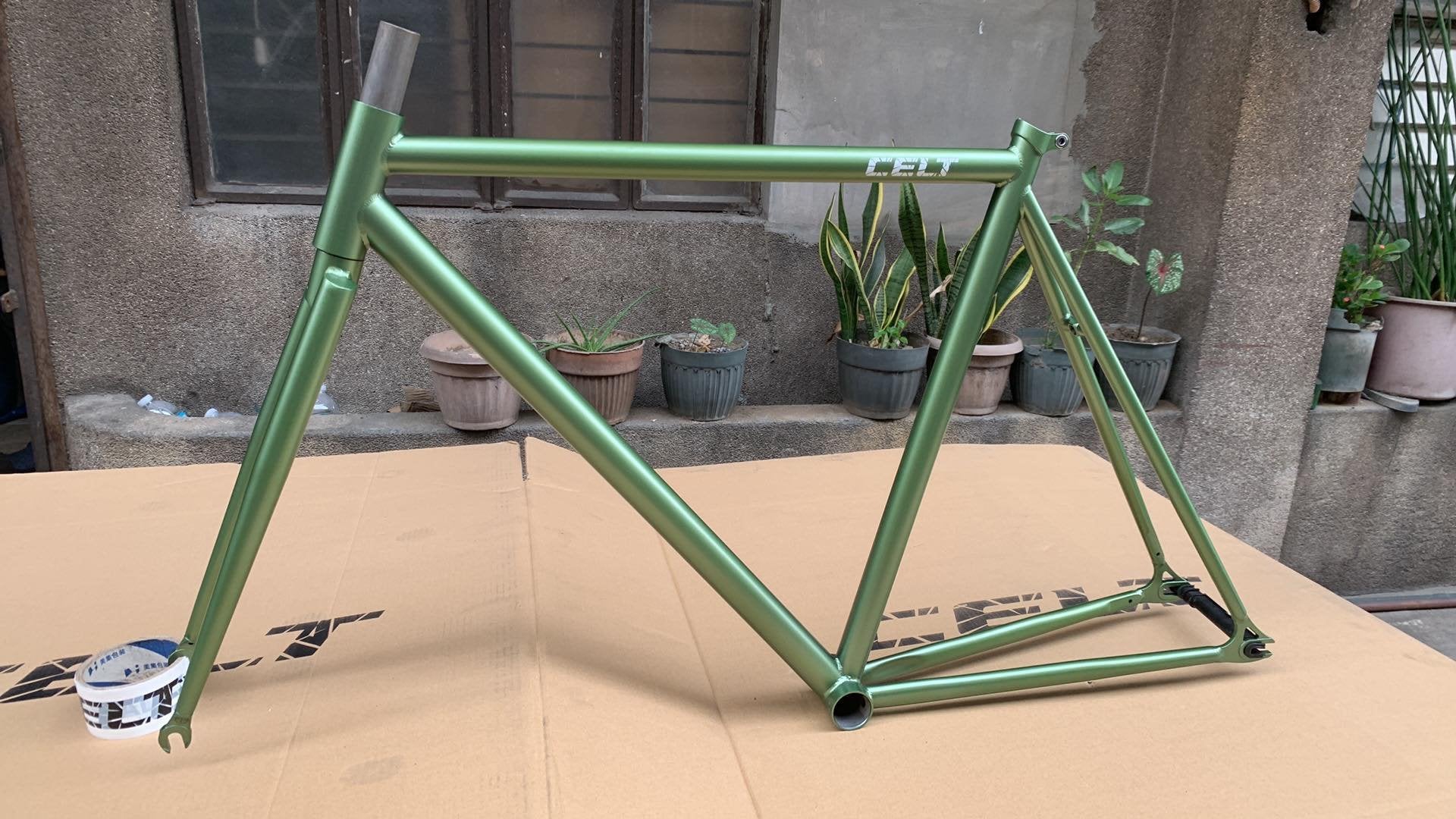 Celt Fixie Bike Frame and Wholebike – Iloilo Bike Shop