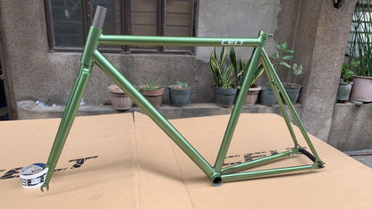 Celt Fixie Bike Frame and Wholebike