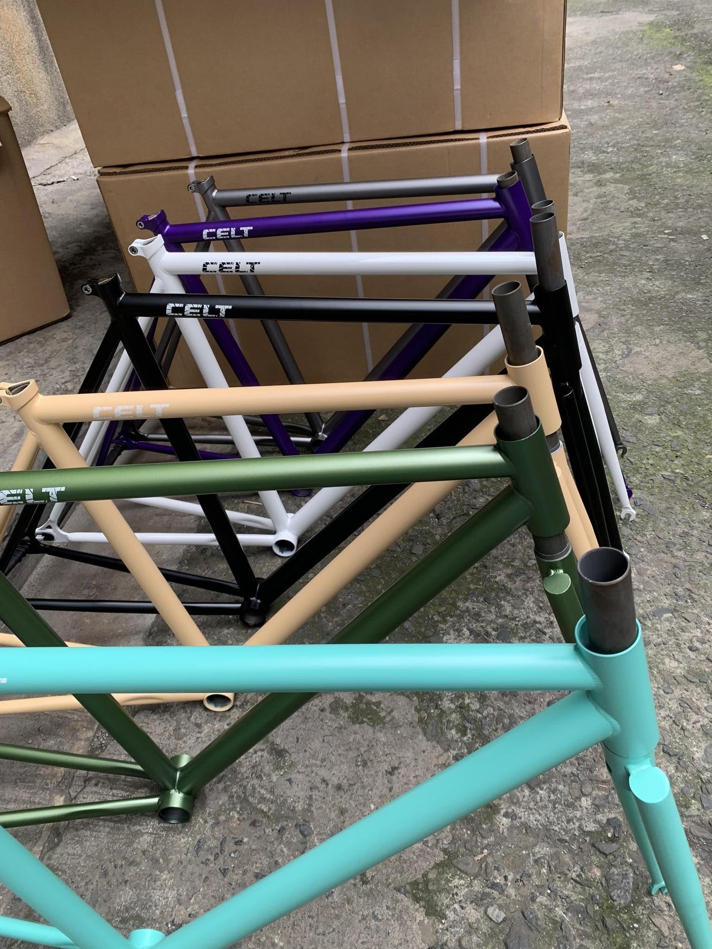 Celt Fixie Bike Frame and Wholebike