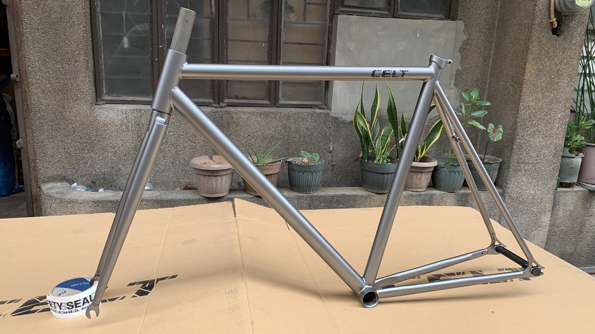 Celt Fixie Bike Frame and Wholebike – Iloilo Bike Shop