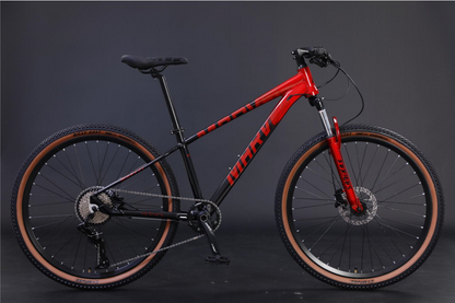 Marbel Furious Mountain Bike