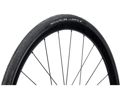 Schwalbe Lugano II