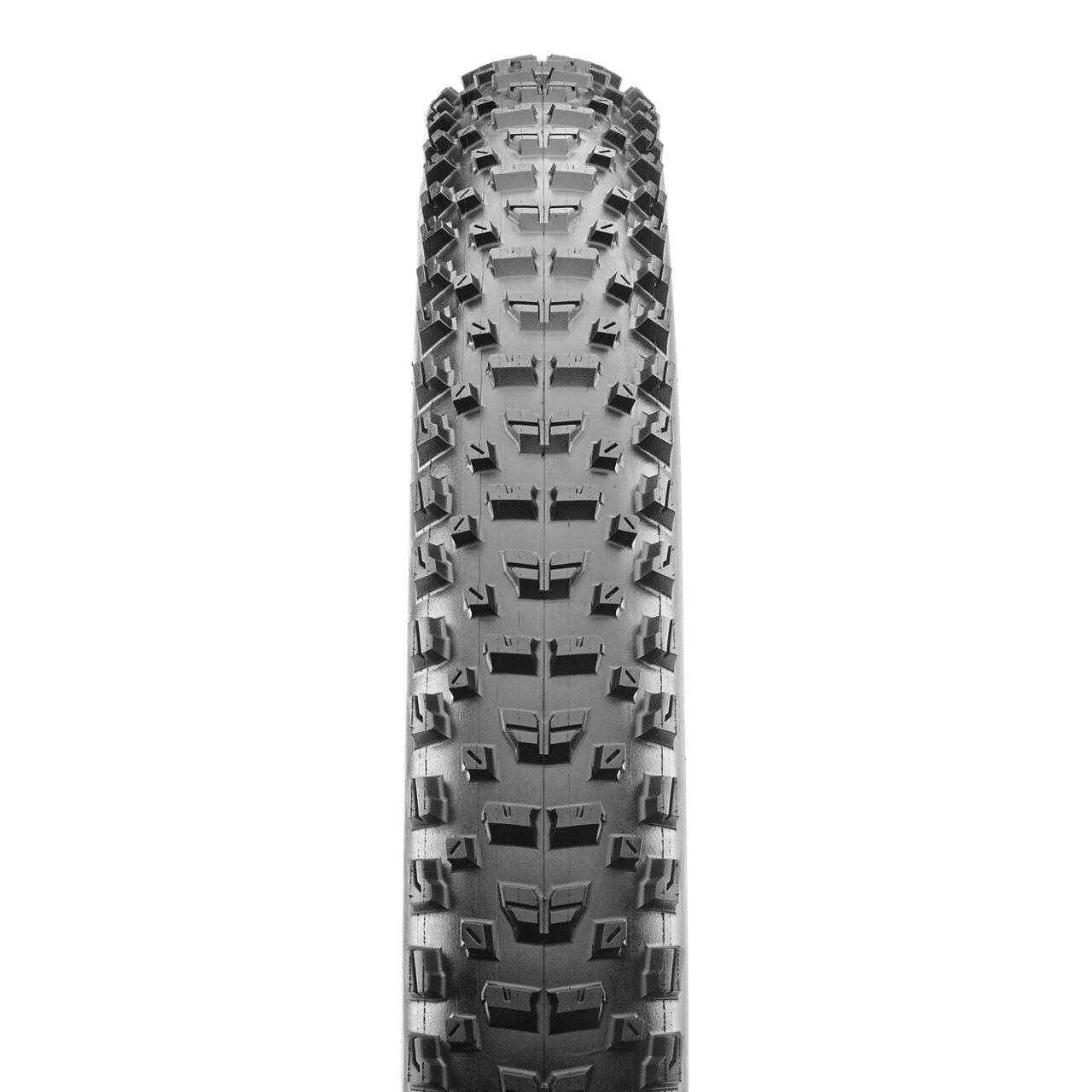 Maxxis Rekon Race Folding